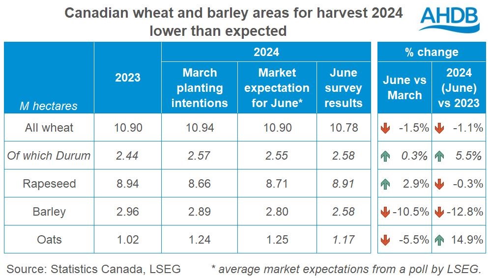 Table showing 2024 Canadian crop areas compared to planting intentions and market expectations